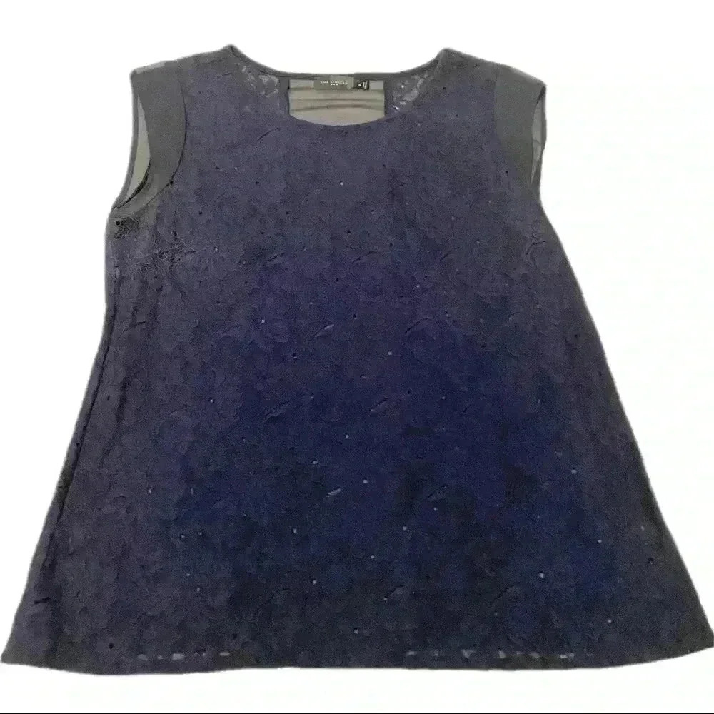 The Limited Women’s Lace and Sheer Top
